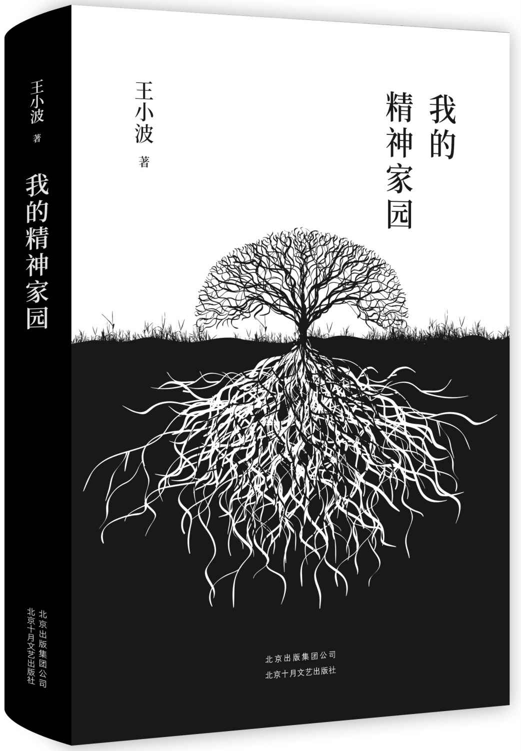 我的精神家园（李银河独家授权，并亲自校订全稿。王小波杂文精选集，逝世二十周年精装纪念版！平民的视角，犀利的批判） (王小波作品系列 5)