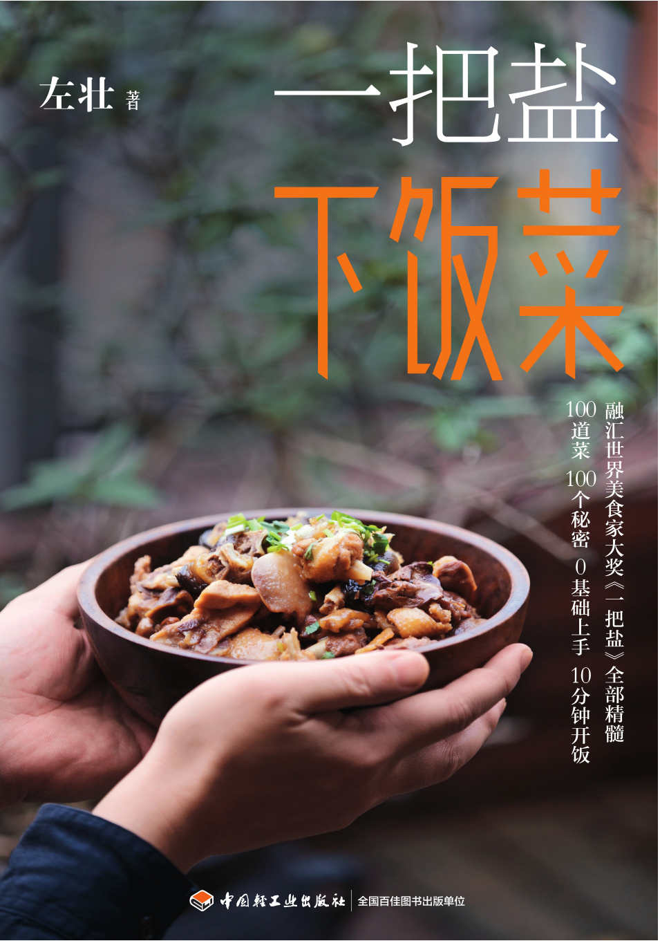 一把盐下饭菜