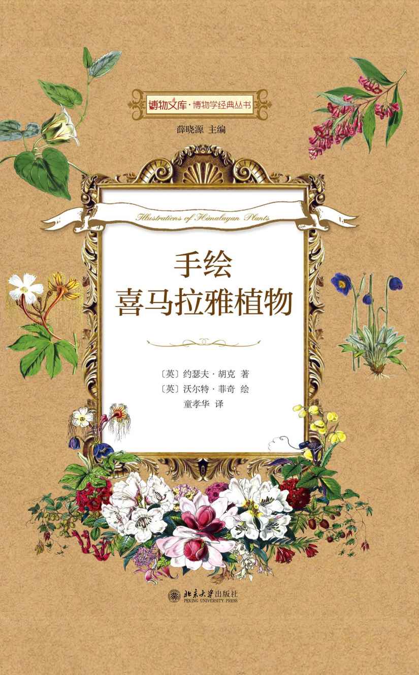 手绘喜马拉雅植物