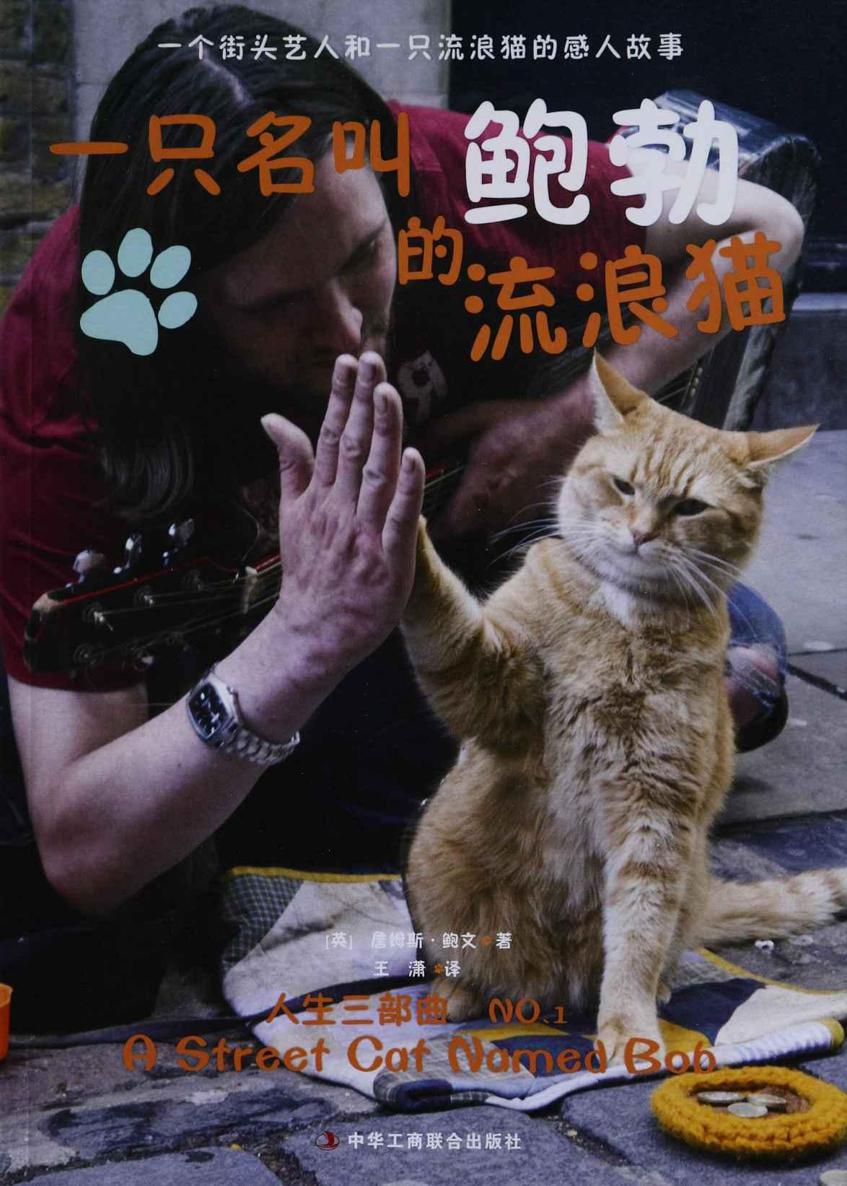 一只名叫鲍勃的流浪猫