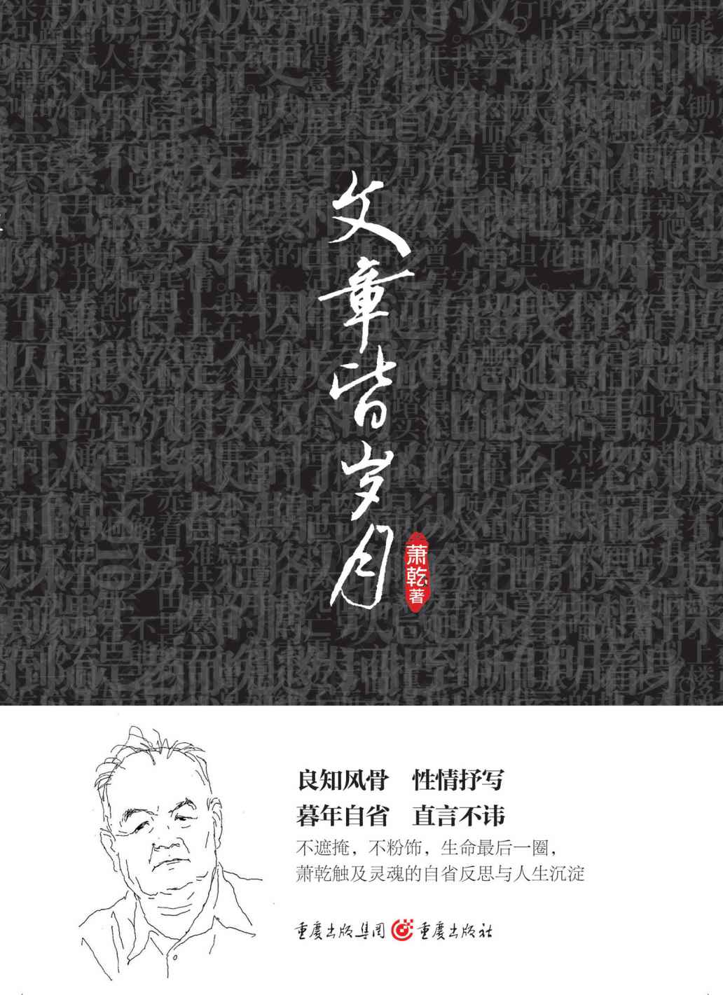 文章皆岁月
