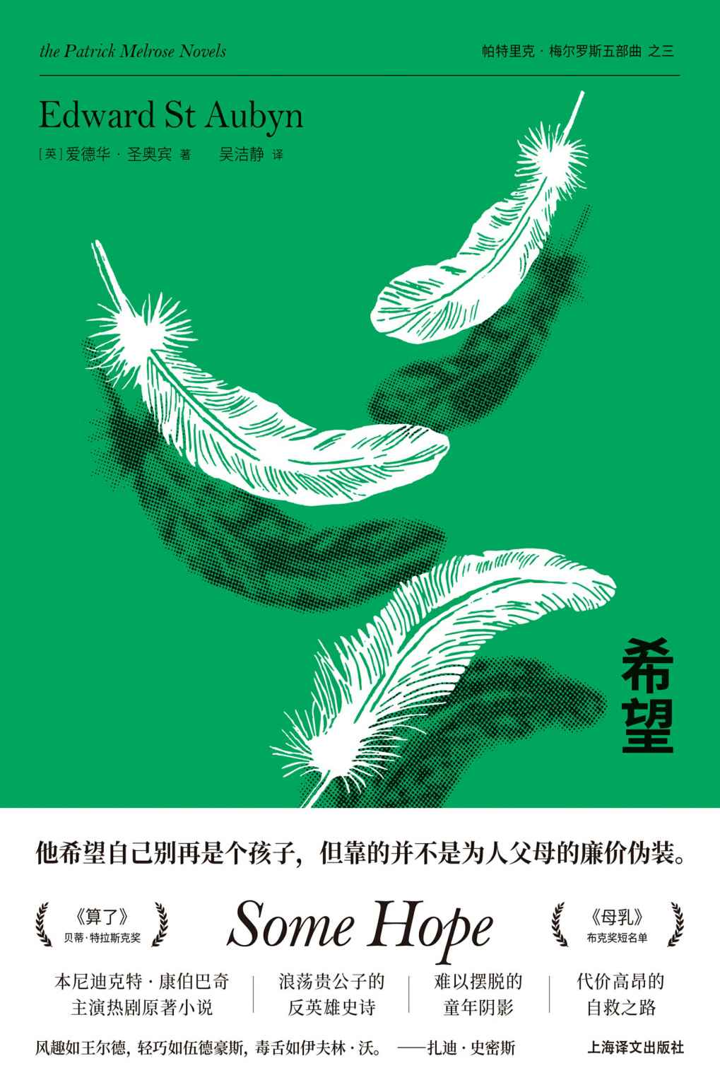 希望 (帕特里克·梅尔罗斯作品五部曲)