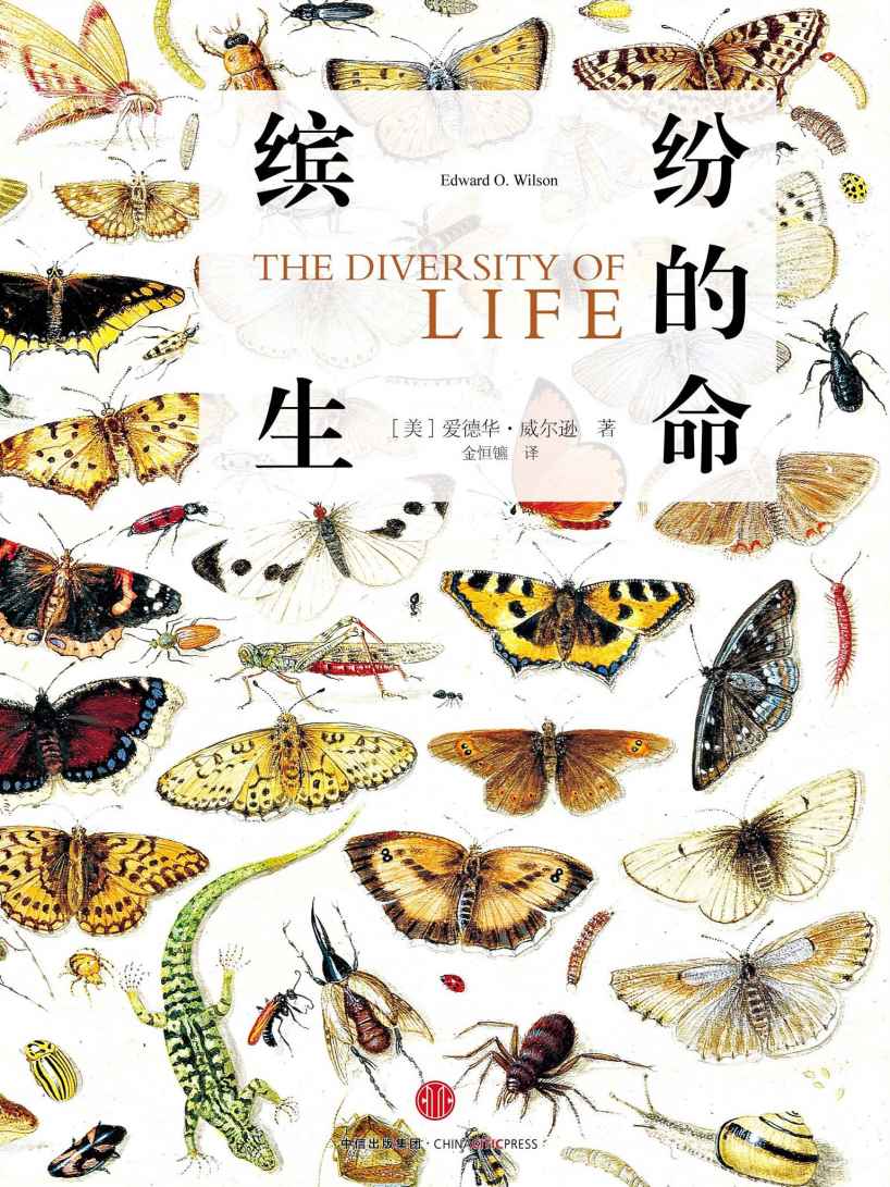 缤纷的生命