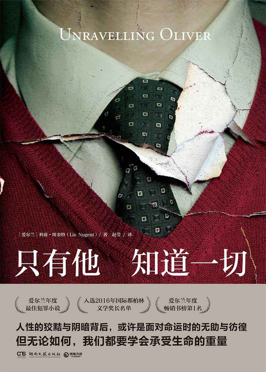 只有他知道一切（国际都柏林文学奖长名单作品，你永远不知道家暴者何时会出第一次拳头）