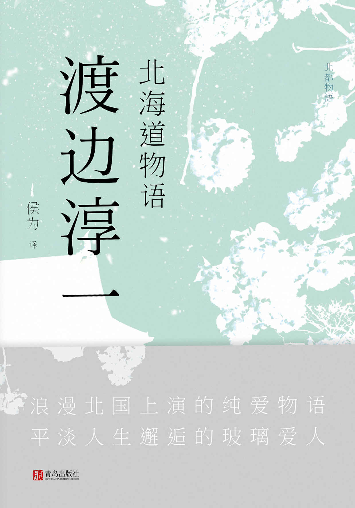 北海道物语（日本已故情爱大师渡边淳一作品，浪漫北国上演的纯爱物语，平淡人生邂逅的玻璃爱人。字字都在诉说着爱情最初的模样）