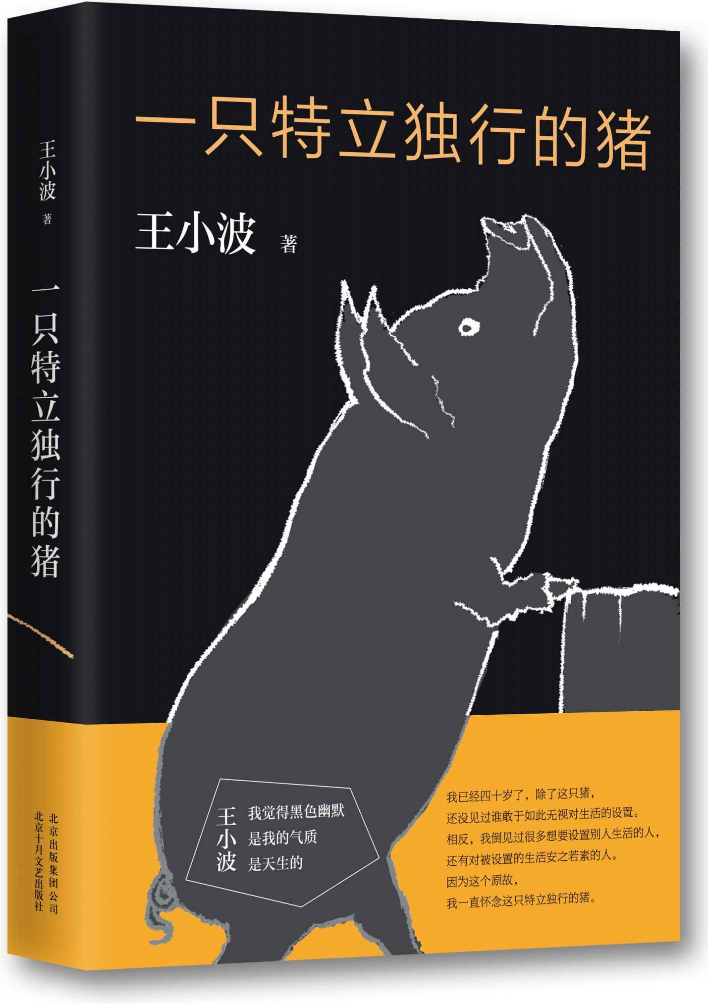 一只特立独行的猪（李银河独家授权，并亲自校订全稿。王小波杂文精选集，逝世二十周年纪念版！幽默中充满智性。） (王小波作品系列 3)