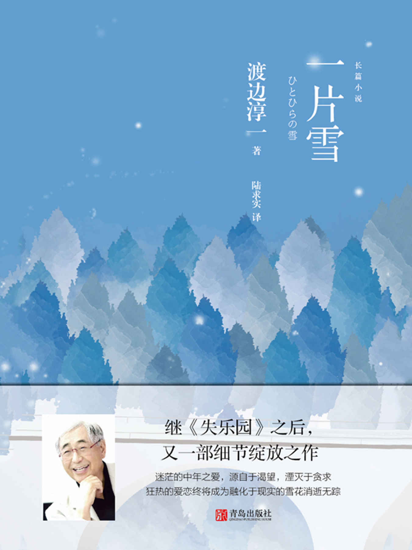 一片雪（继《失乐园》之后，渡边淳一又一部细节绽放之作。迷茫的中年之爱，源自于渴望，湮灭于贪求！）