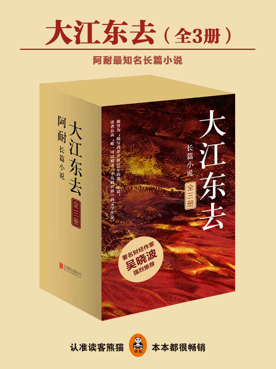 《欢乐颂》作者阿耐经典代表作：大江东去(豆瓣评分高达9.2，《激荡三十年》作者、著名财经作家吴晓波力荐。)(全3册)