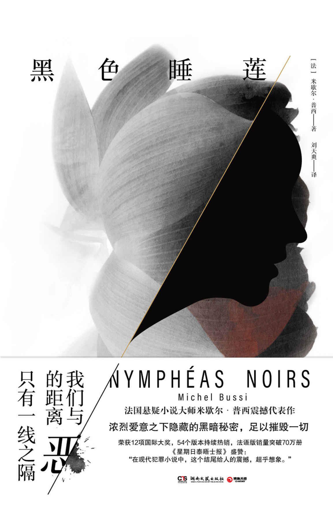 黑色睡莲（法版《寂静岭》，透过一副世界名画，揭秘一段延续了70年的离奇悬案）