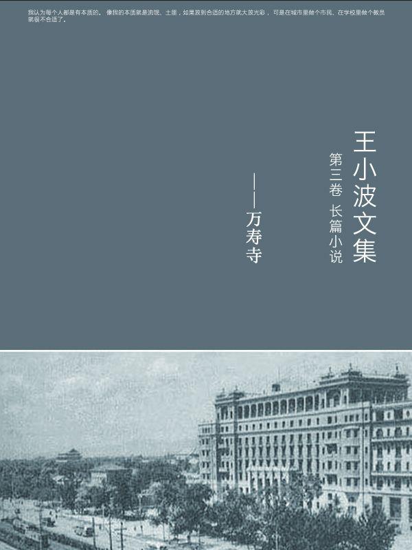 王小波文集第三卷 长篇小说——万寿寺