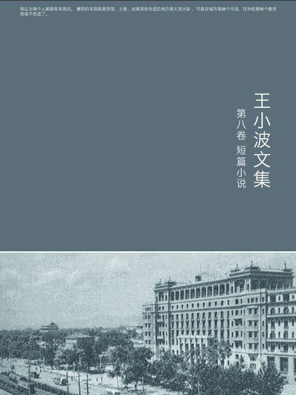 王小波文集第八卷 短篇小说
