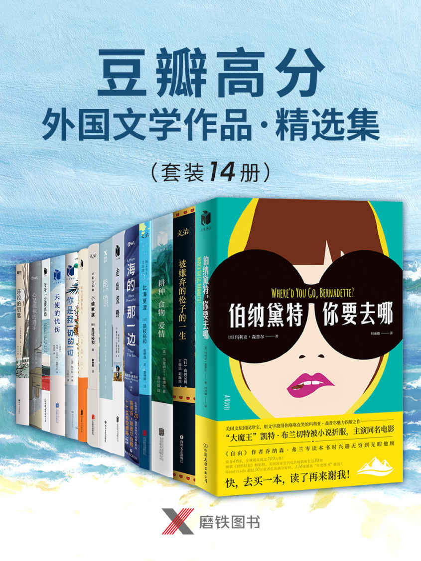 豆瓣高分外国文学作品·精选集（套装14册）【含《纽约时报》畅销榜、各国图书大奖、金棕榈奖电影原著、美国亚马逊年度图书桂冠作品】