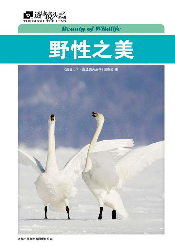 野性之美 (图说天下·透过镜头系列)