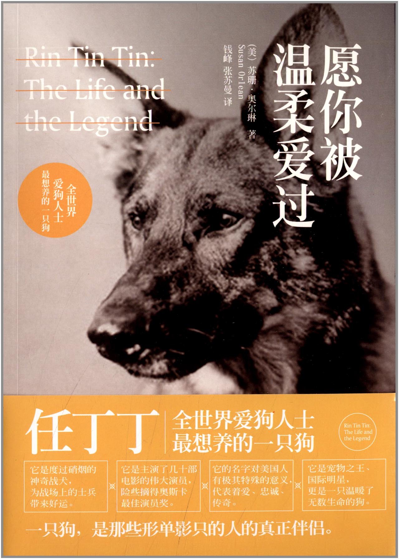 愿你被温柔爱过