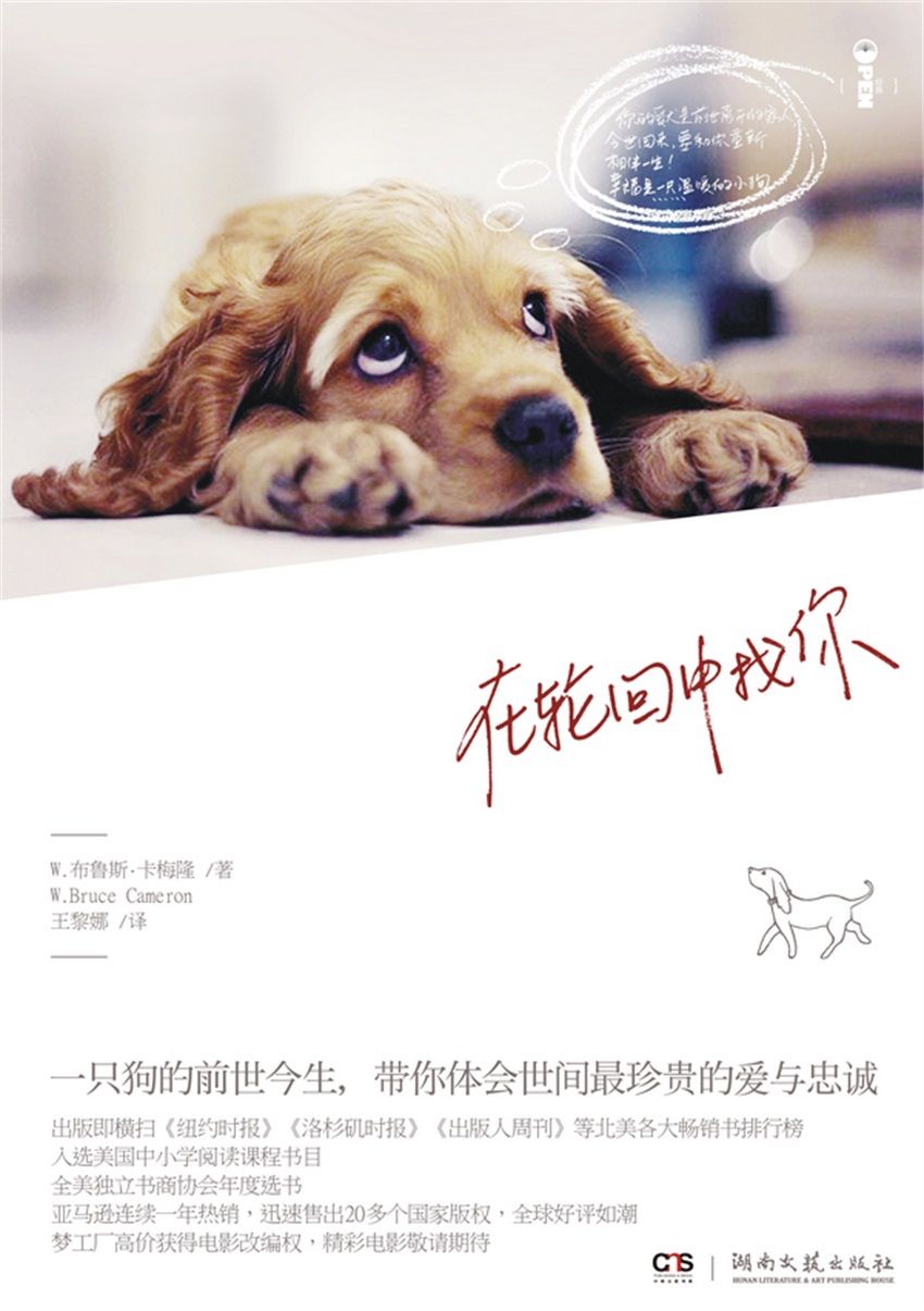 在轮回中找你