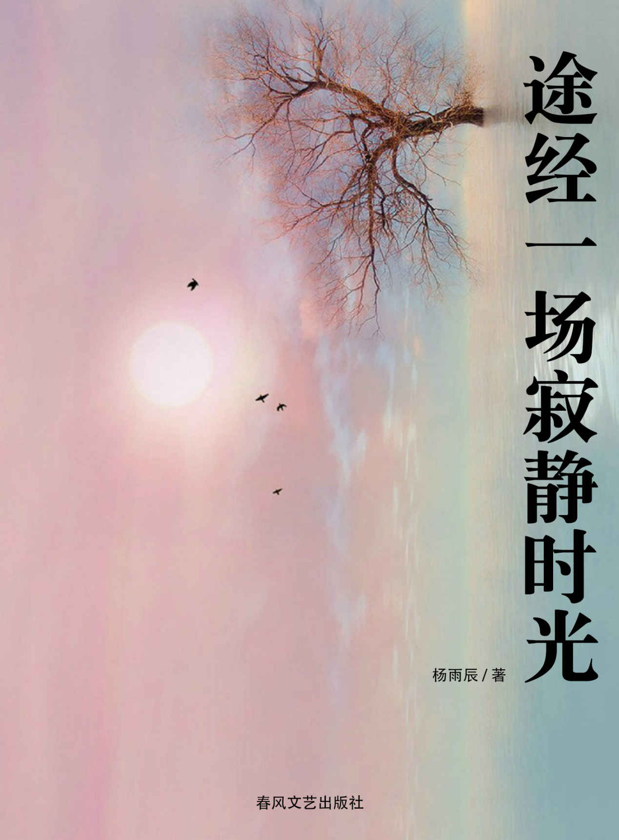 途经一场寂静时光