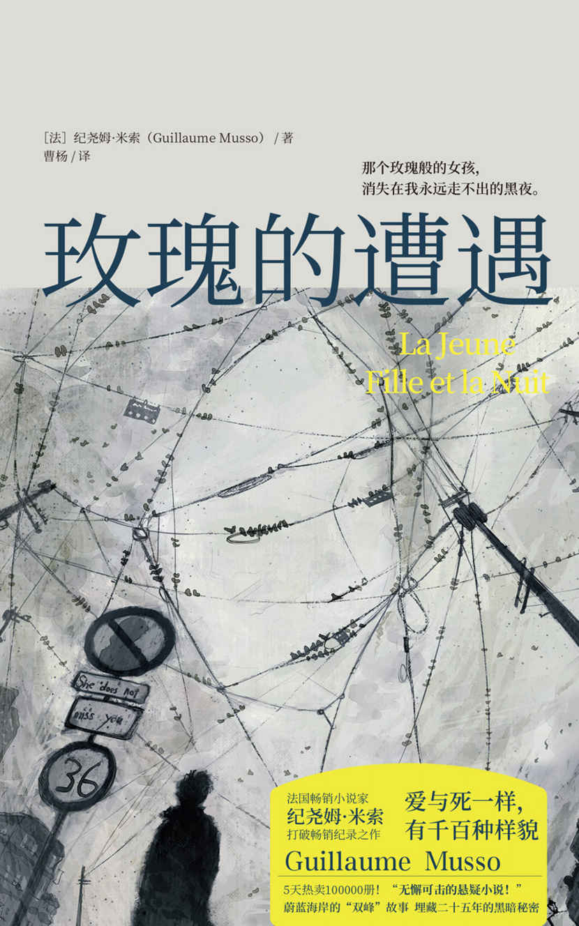 玫瑰的遭遇（5天热卖100000册！一起因同名产生的误杀，一场因性别引发的悲剧！每一瞬都跌入陷阱！）