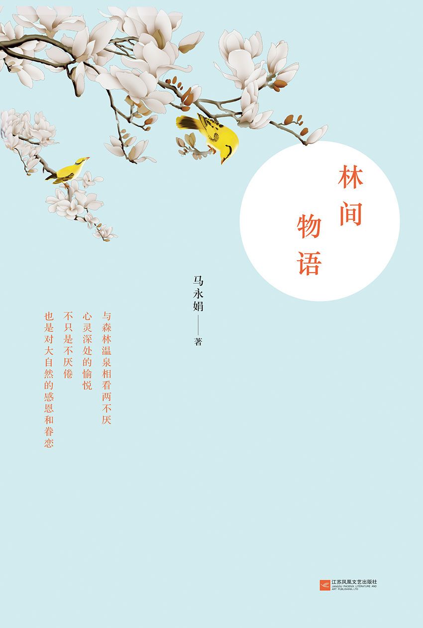 林间物语