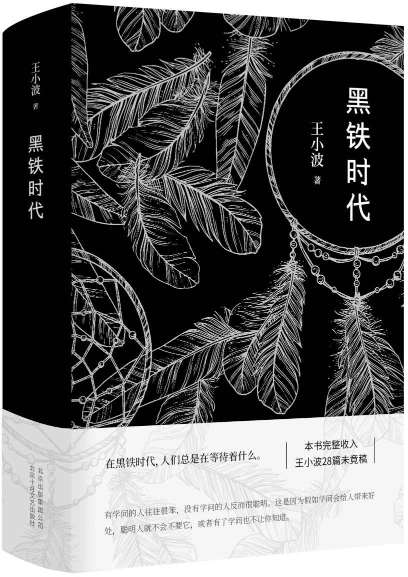 王小波：黑铁时代（李银河独家授权，并亲自校订全稿。完整收入27篇未竟稿，9篇为首次曝光。读过这本，才算完整读过王小波。） (王小波作品系列 15)