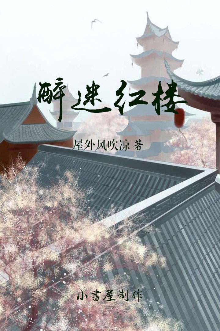 醉迷红楼