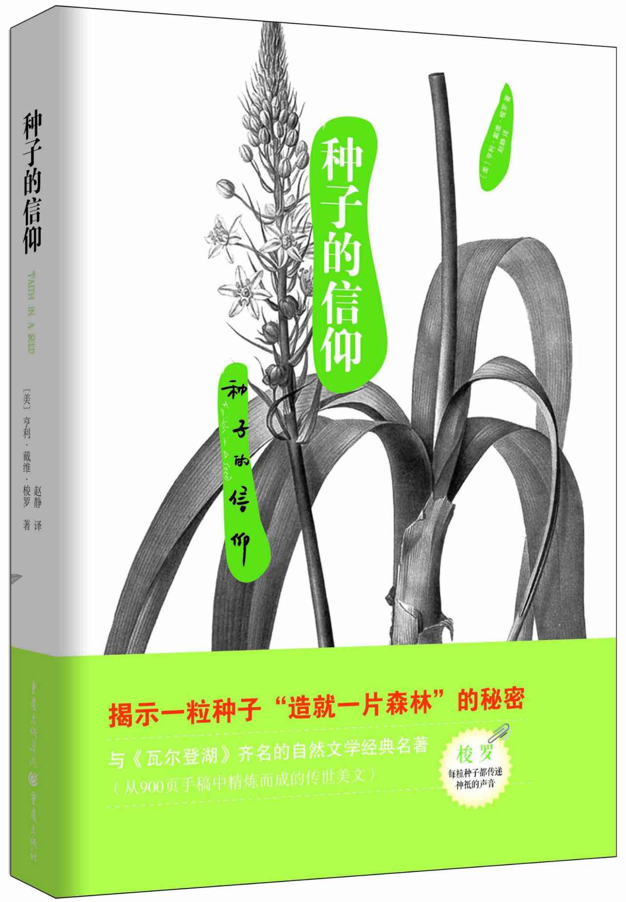 种子的信仰