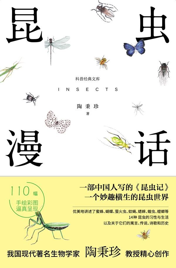 昆虫漫画